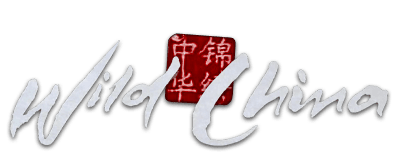 Wild China