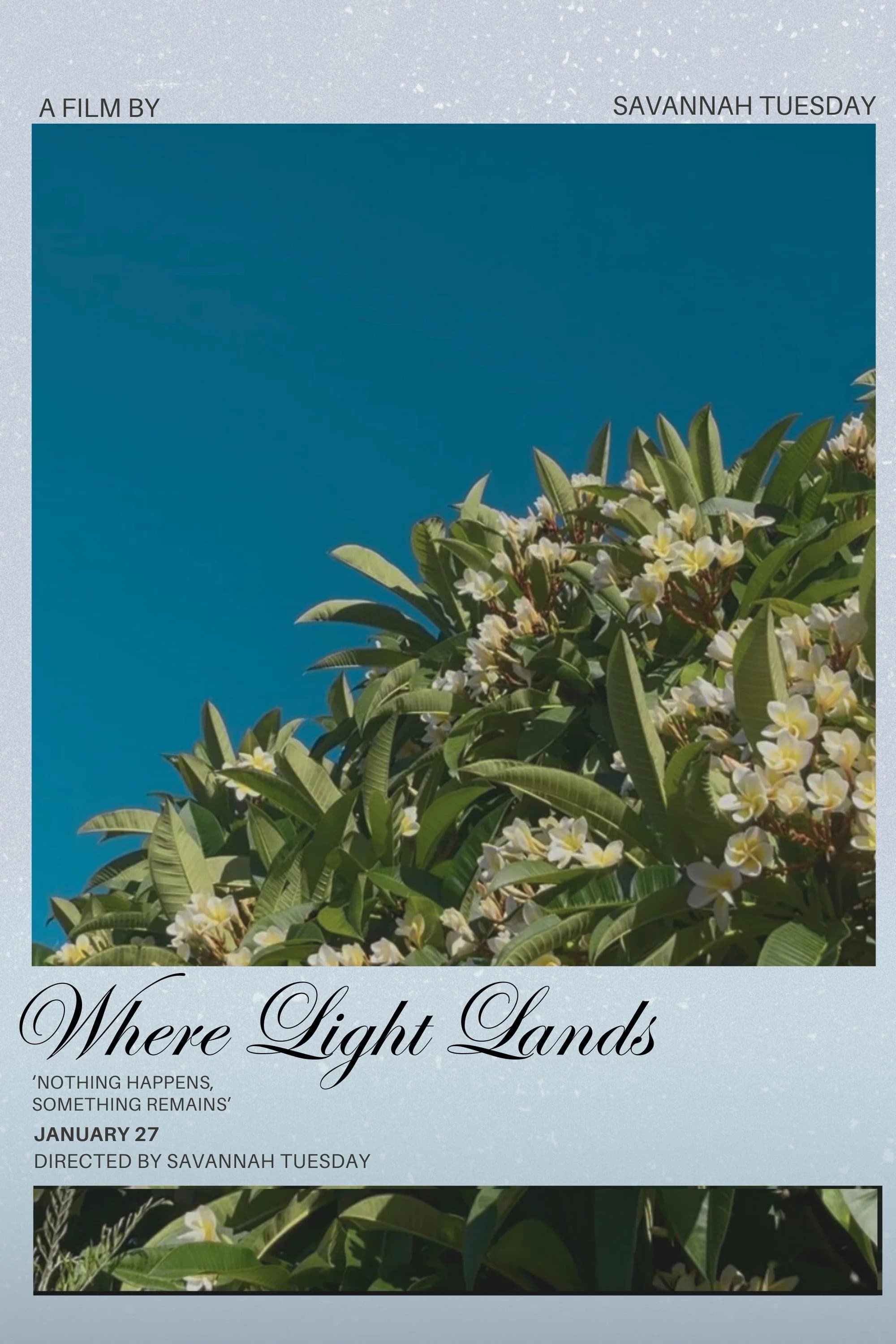 Where Light Lands key art