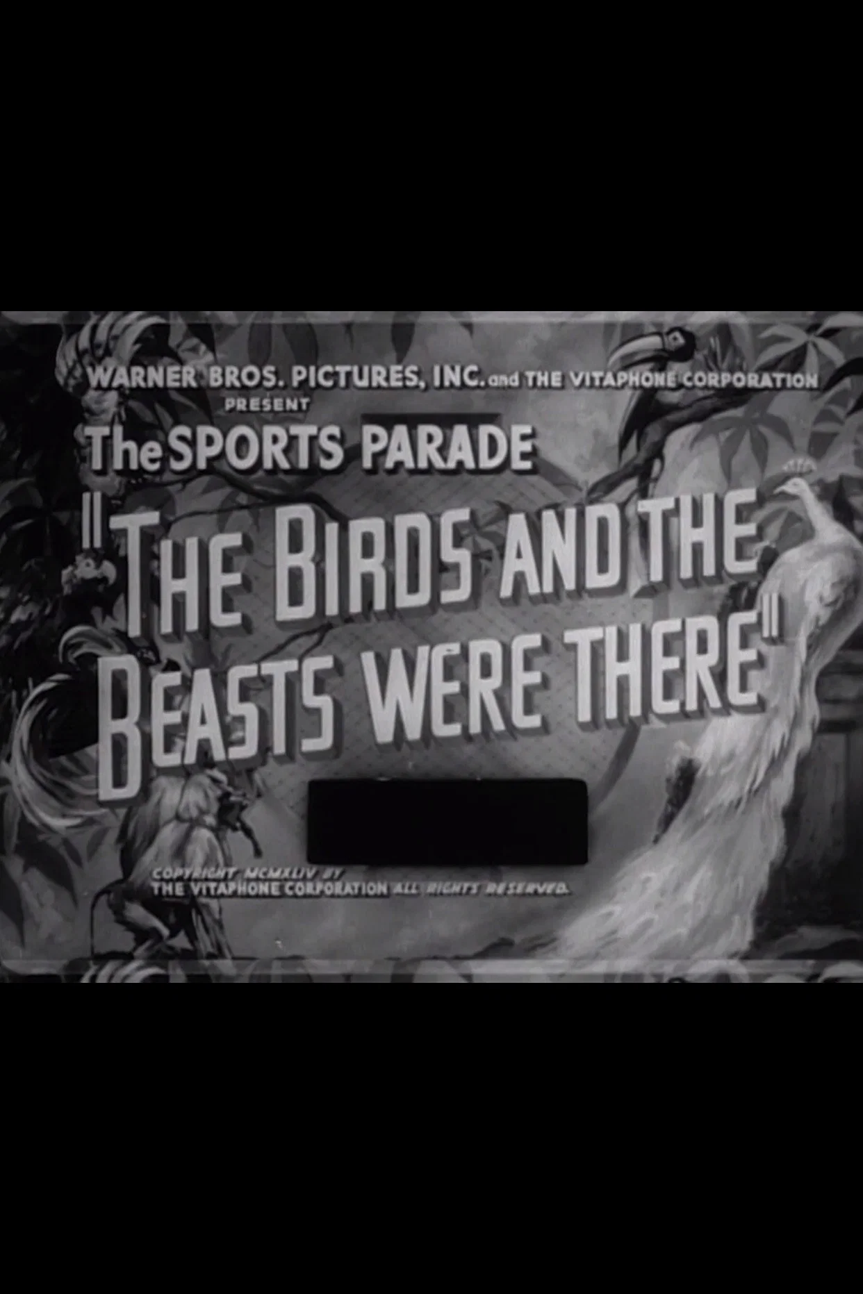 The Birds and the Beasts Were There key art