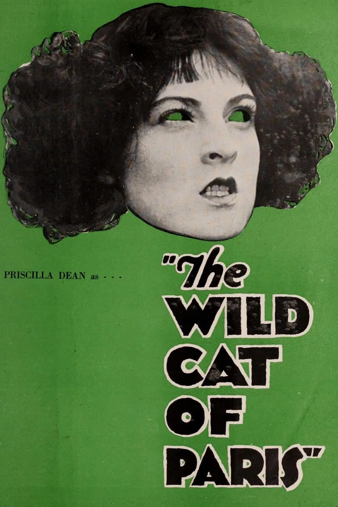 The Wildcat of Paris key art