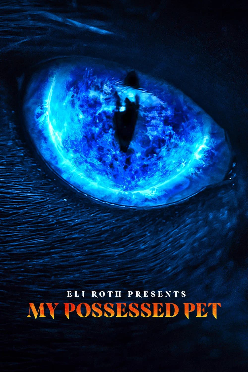 Eli Roth Presents: My Possessed Pet key art