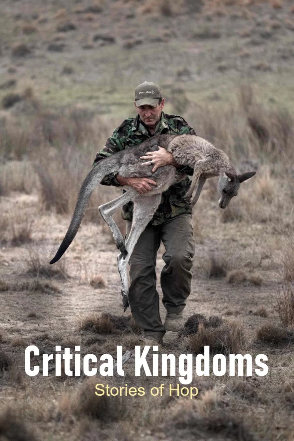 Critical Kingdoms - Stories of Hope key art