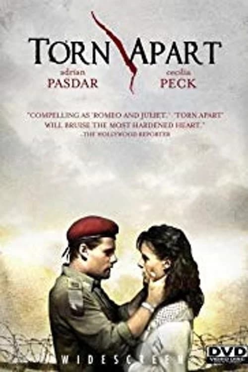 Torn Apart key art