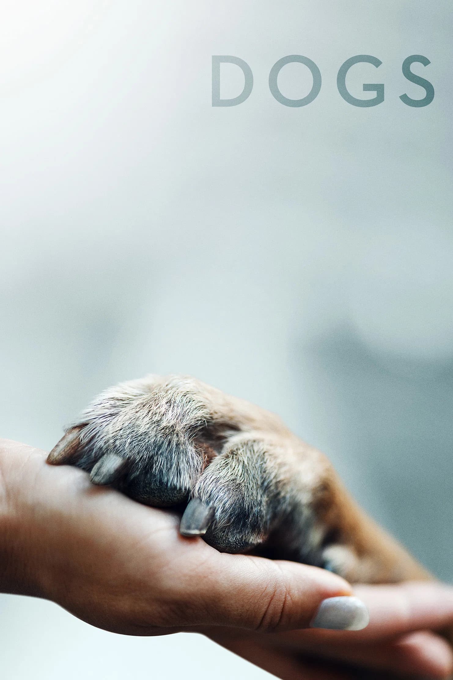 Dogs key art
