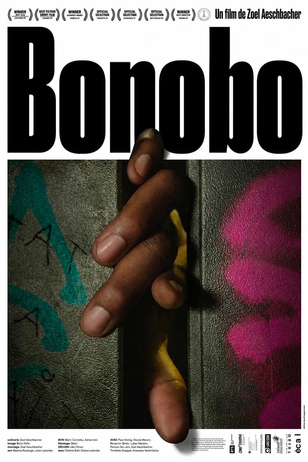 Bonobo key art