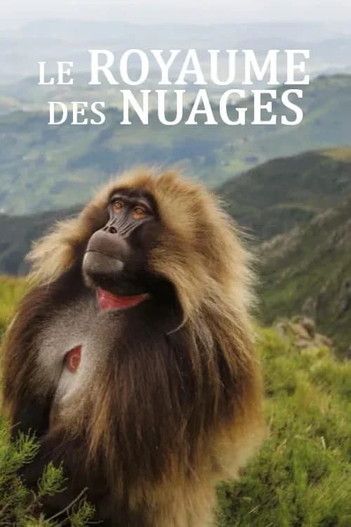 Le royaume des nuages key art