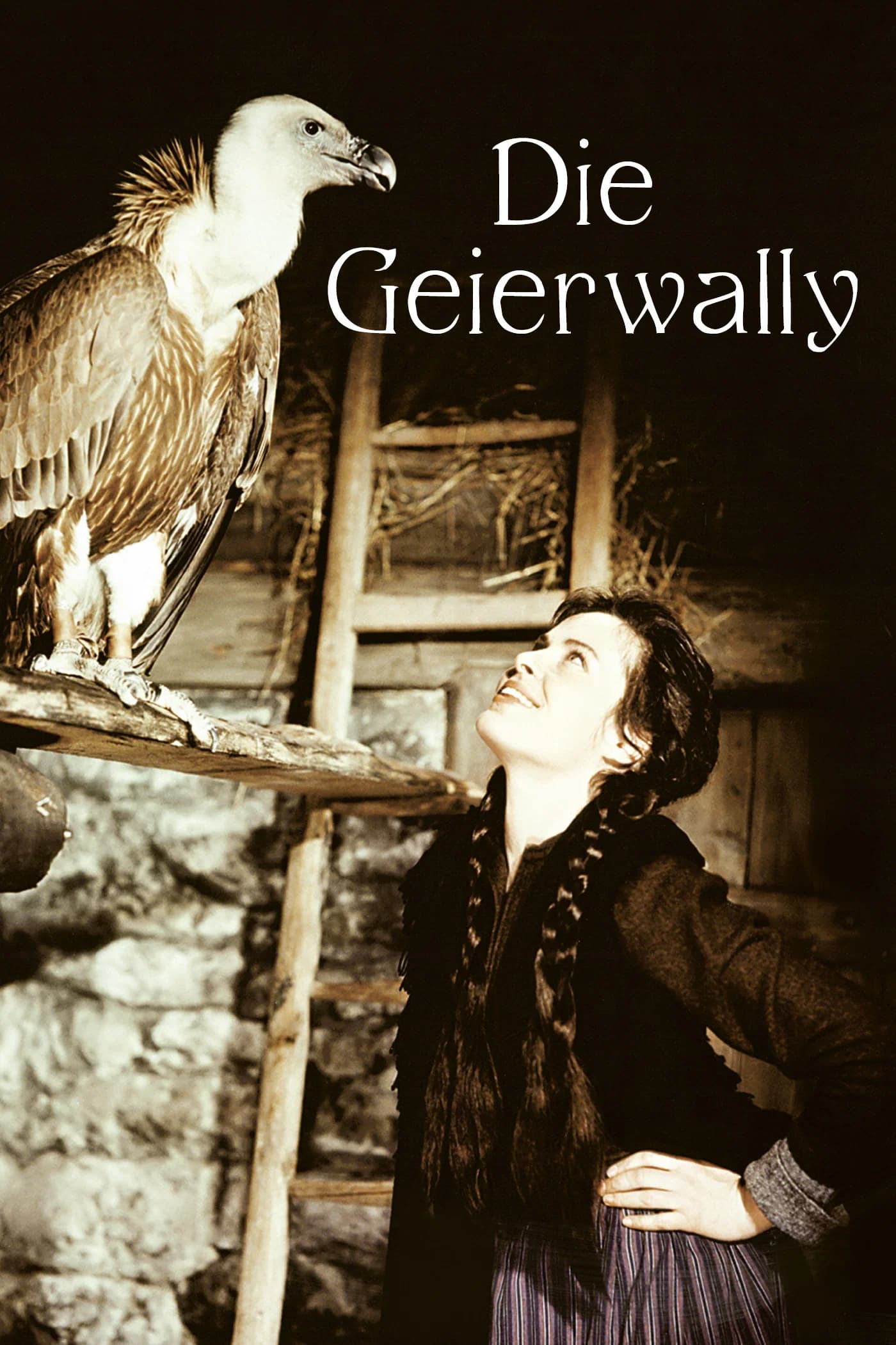 Wally of the Vultures key art