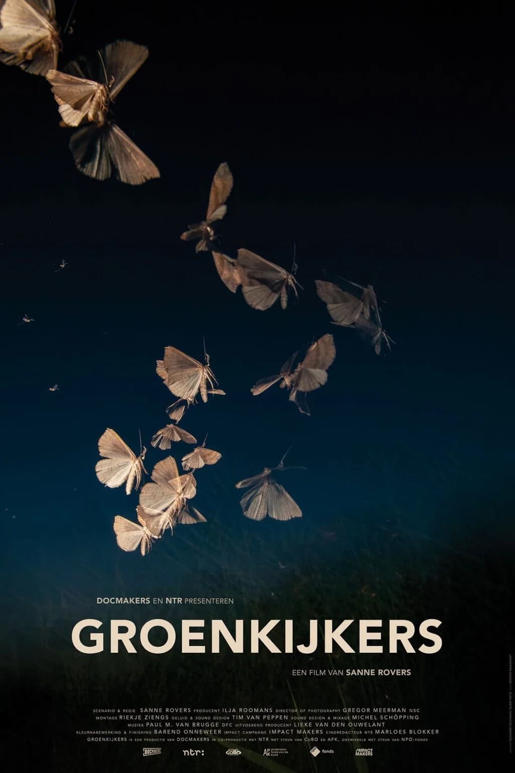 Groenkijkers key art