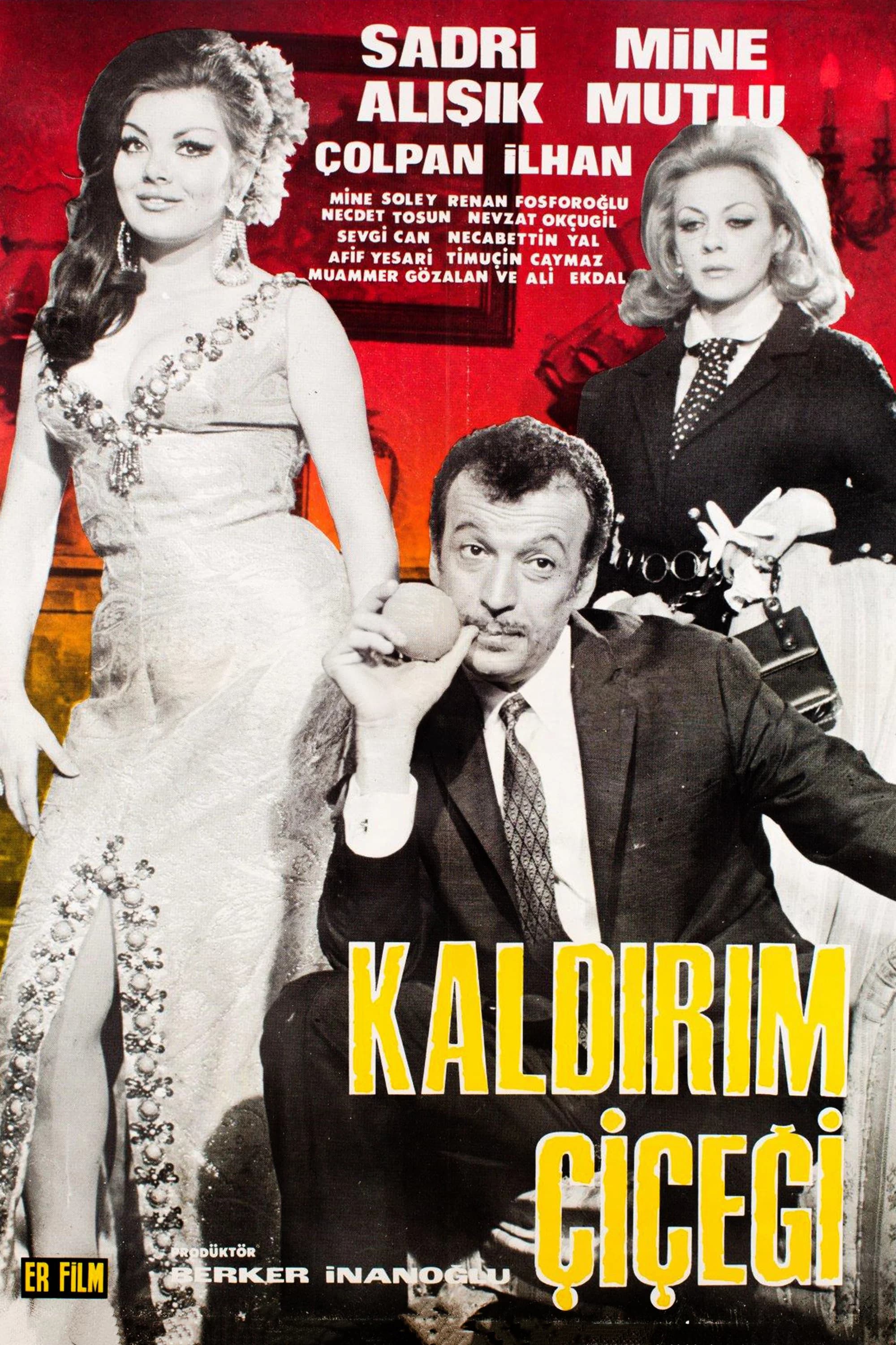 Kaldırım Çiçeği key art
