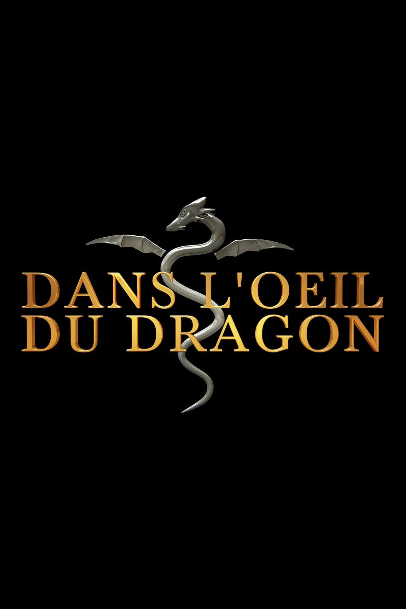 Dans l'oeil du dragon key art