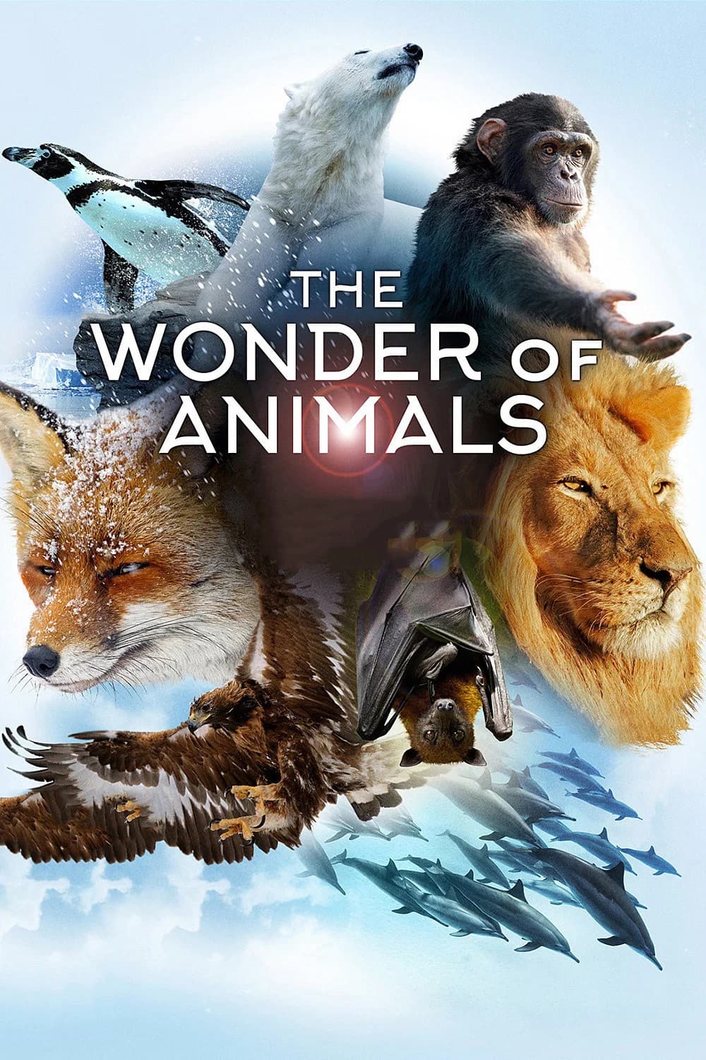 The Wonder of Animals key art