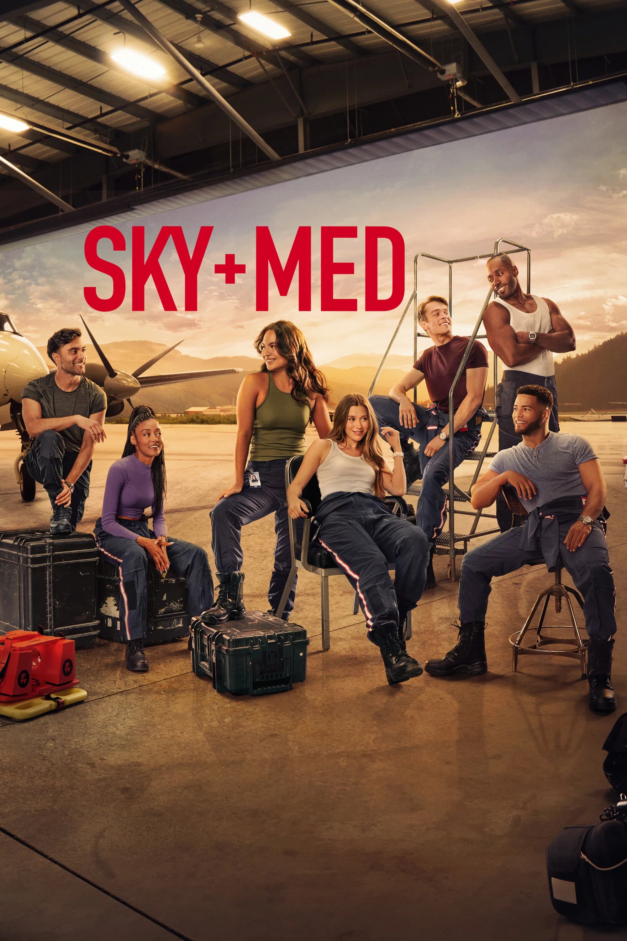 SkyMed key art