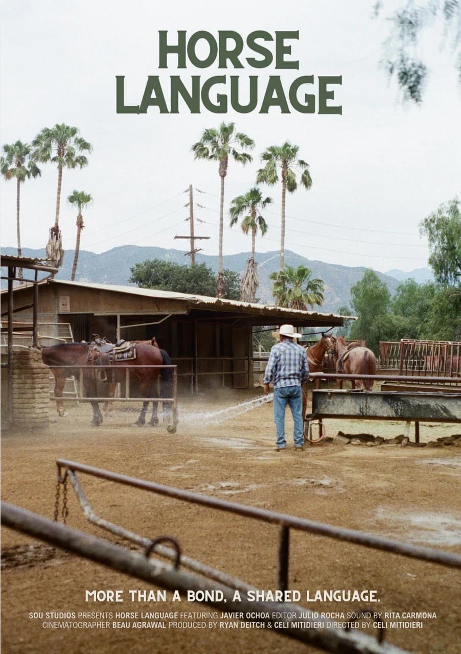 Horse Language key art
